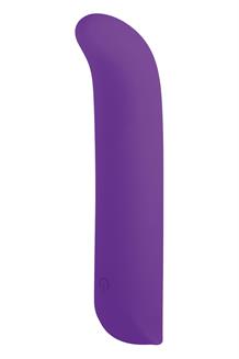 5 Inch Silicone 10 Function Vibrator Purple