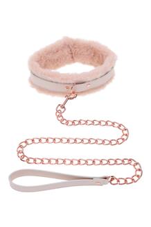 Fur Collar & Leash